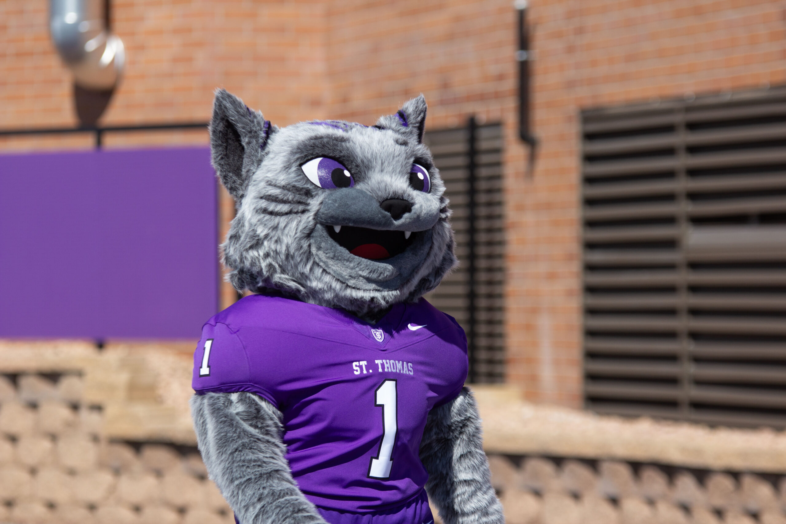 St. Thomas athletics debuts new mascot design