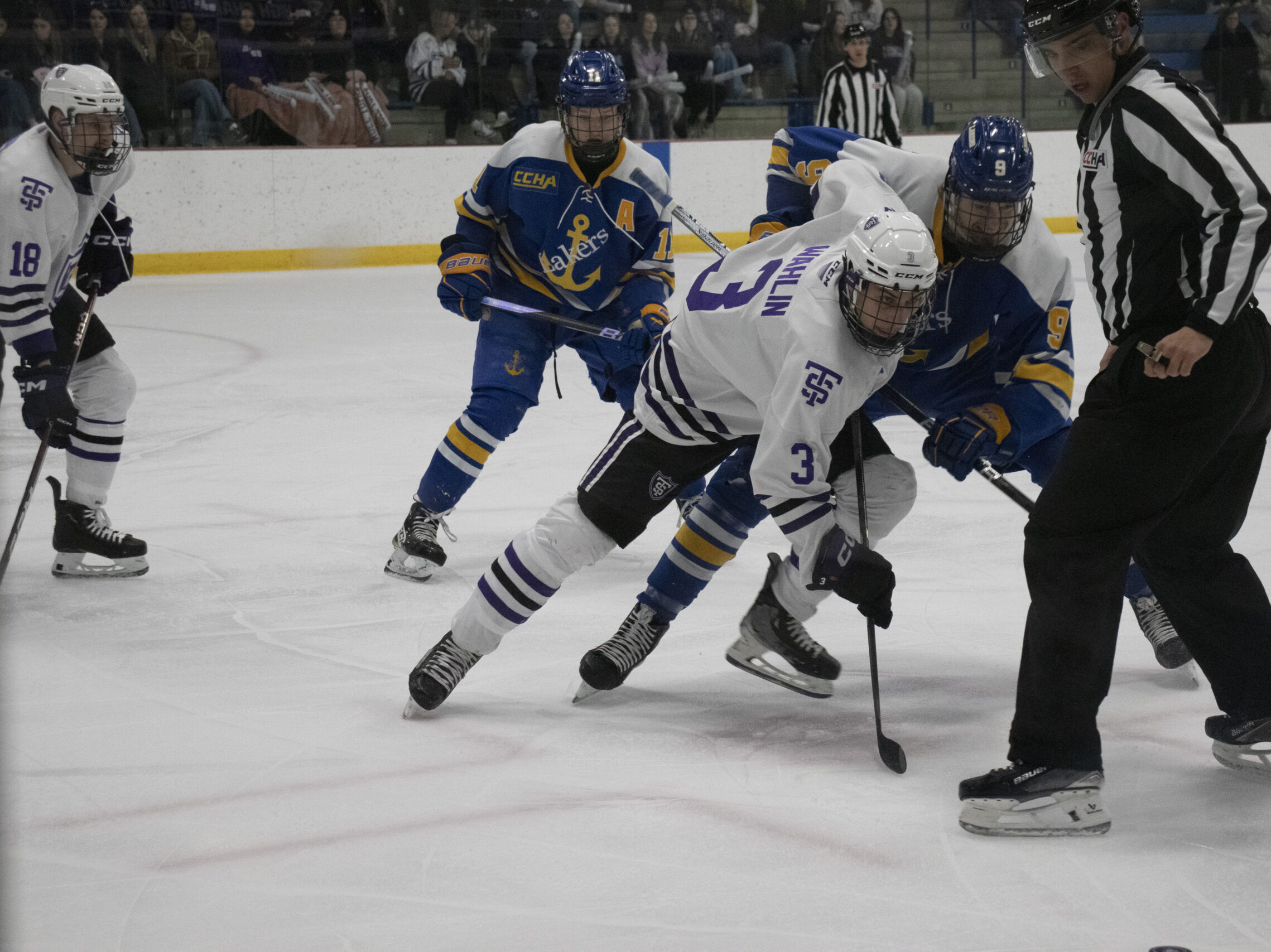 Wahlin picked player of the year, women’s hockey ranked sixth in conference poll