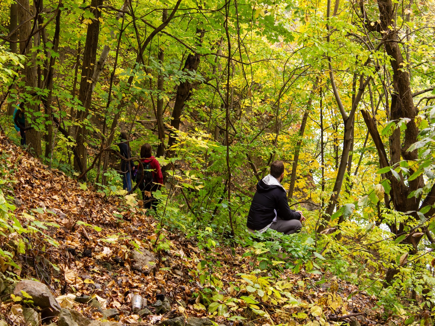 I went forest bathing and it’s not what you think