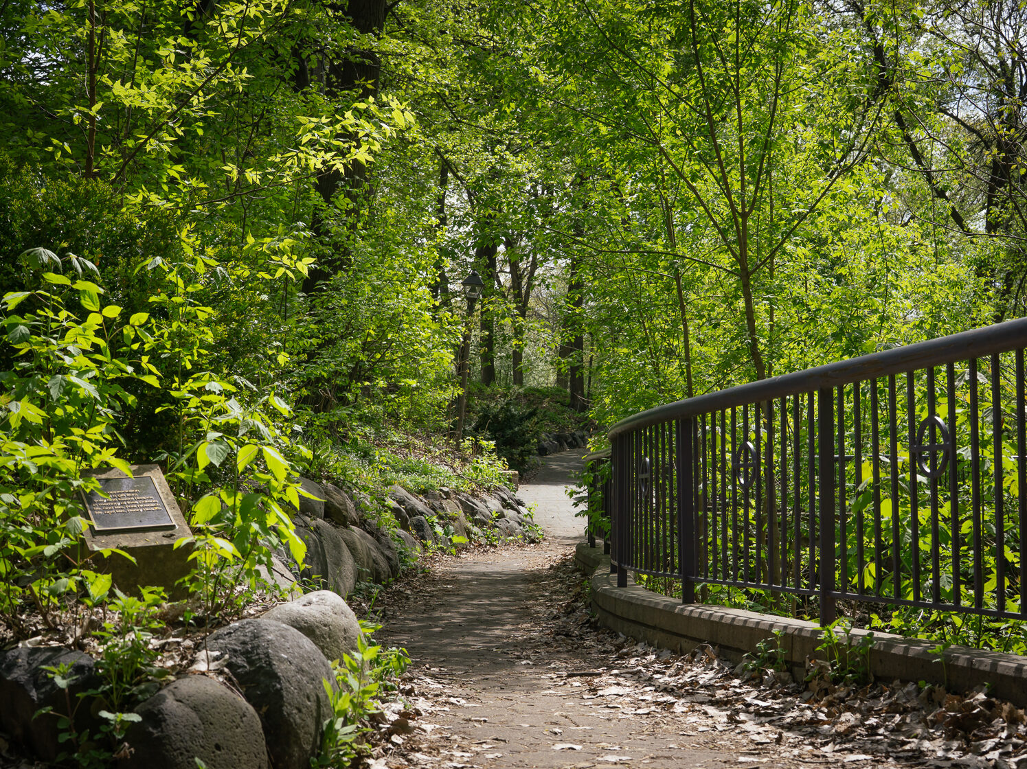 Places to take your senior photos that are not the Arches